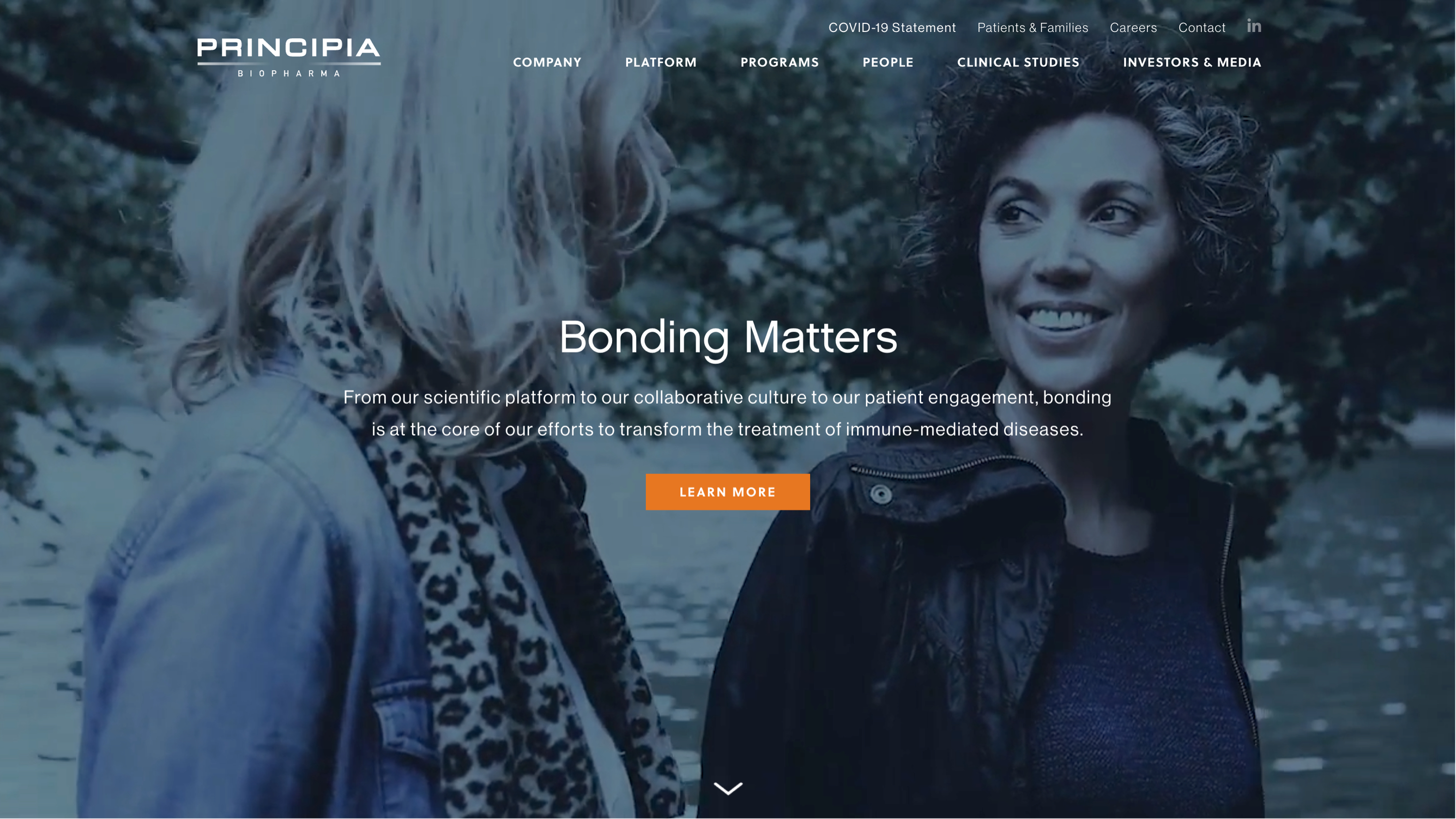 principia_web1
