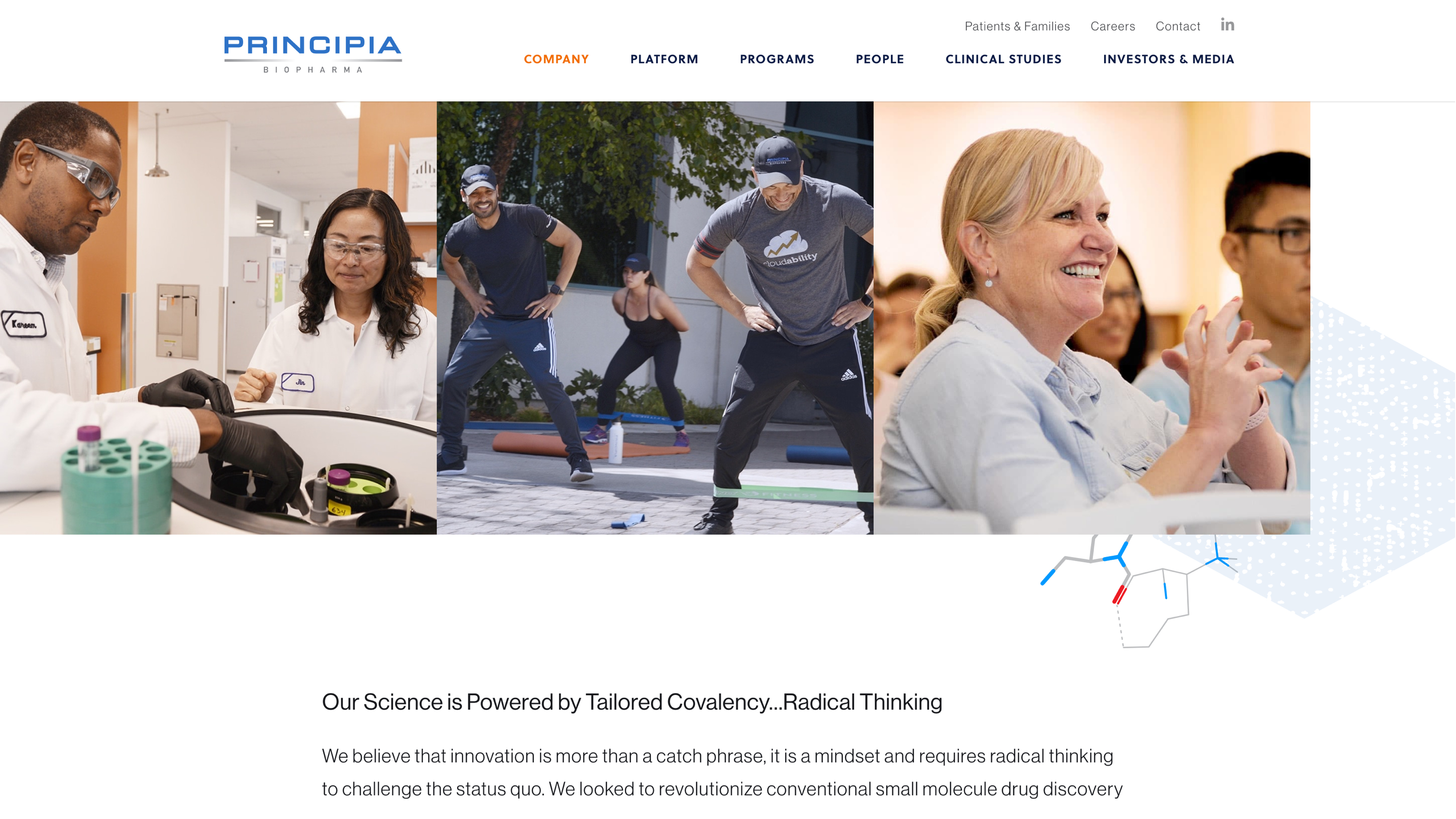 principia_web2