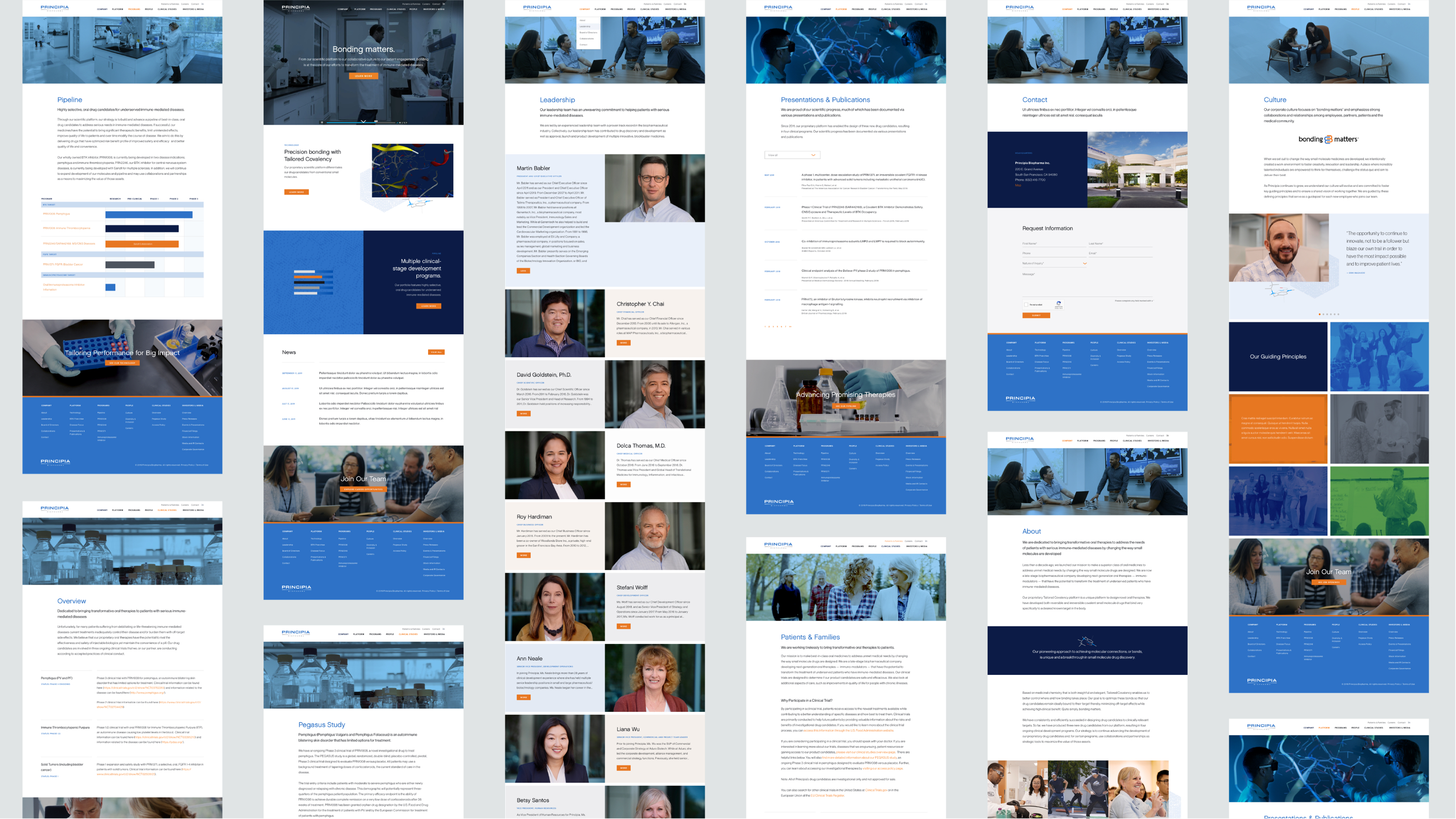 principia_web3